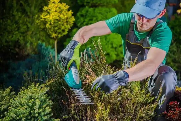 landscaping services Duquesne